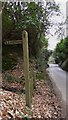 SU9838 : Greensand Way signpost in Markwick Lane by Shazz