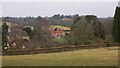 View of Hascombe from the bridleway to the south