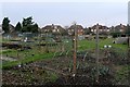 Bartlemy Road allotments