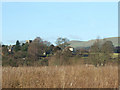 Weaver Hills from Calwich Park near Ellastone