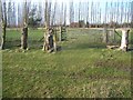 Footpath junction in Arnold Farm field