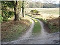 Track to The Kennels