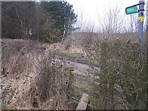 TQ8854 : Footpath crosses Birch Wood Lane, near Stede Hill Wood by David Anstiss
