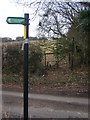TQ8955 : Footpath crosses Ringlestone Road by David Anstiss