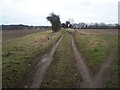 TQ8955 : Footpath follows farm track to Wrinstead Wood by David Anstiss