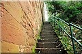 The Ballyskeagh High Bridge (6 of 8)