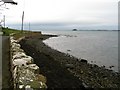 Shoreline at Killyleagh