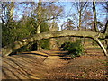 SU8869 : Tree arch at Lily Hill Park by don cload