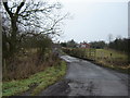 Roadbridge  over  New  Parks  Beck