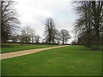 SU6356 : The main driveway - The Vyne by Mr Ignavy