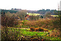 Hallwood Farm Oast, Hawkhurst Road, Cranbrook, Kent