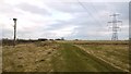 Winter pasture east of Dalton Hillhead