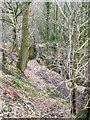 Footpath off Styes Lane, Luddenden Foot