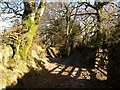 Gateway on the bridleway