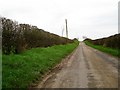 Nursery Road near Ballyhalbert