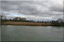 SU5985 : Marsh over the river by Bill Nicholls