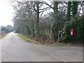 Thorney Hill: postbox № BH23 1, Black Lane