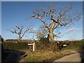 Hawson Cross