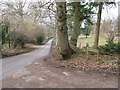 Bridleway from Nyetimber Farm meets country lane