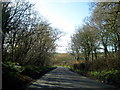 The road from Ryme to the A37