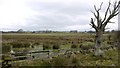 NZ0572 : Marshland near Fenwick Shield by Andrew Curtis