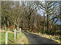 This Way to Glenmard Stables