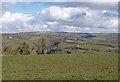 Pasture near Blaencynllaith, Cynwyl Elfed