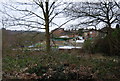 Barnetts Wood Allotments, Andrew Rd