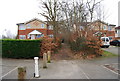 Footpath crosses Hornbeam Avenue