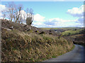 Felled area near Troed-y-rhiw, Cynwyl Elfed