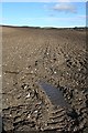 Ploughed Field near Goukstone