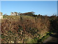 SH3794 : View uphill towards the former Llanbadrig Vicarage by Eric Jones