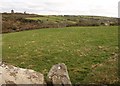 Field above Carn Brea village