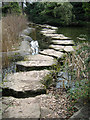 SK5337 : The Stepping Stones, University Lake by David Lally