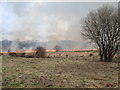 Culm Grassland Management at Stowford Moor Nature Reserve