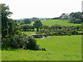 Afon Teifi south of Tregaron, Ceredigion