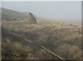 A mysterious object on the dunes, Mablethorpe