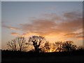 SY9899 : Winter sunset at Bear Mead by John Palmer