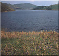 Llyn Clywedog foreshore