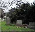 Brompton Cemetery