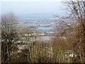 A gap in the trees reveals Weston Turville Reservoir