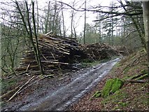NS2173 : Log pile at Bankfoot by Thomas Nugent