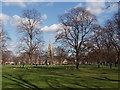 Turnham Green with leafless trees in winter