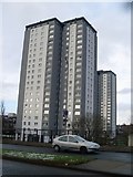 NS5364 : Highrise flats in Cardonald by Stephen Sweeney