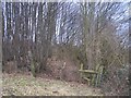 Footpath into Gaskin Wood