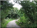 Bridge over Afon Erddreiniog