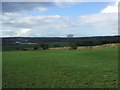 Wall and fields on Watch Fell