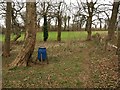 Bird feeder, Lupton Park