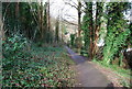 Footpath descending through the trees