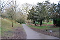 Path through Alexandra Park